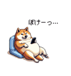 太っちょ柴犬の梅雨と初夏（個別スタンプ：36）