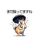 太っちょ柴犬の梅雨と初夏（個別スタンプ：38）
