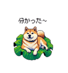 太っちょ柴犬の梅雨と初夏（個別スタンプ：39）
