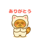 にゃんたぬ 癒しのふわもこ着ぐるみ便（個別スタンプ：1）