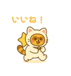 にゃんたぬ 癒しのふわもこ着ぐるみ便（個別スタンプ：2）