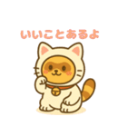 にゃんたぬ 癒しのふわもこ着ぐるみ便（個別スタンプ：3）
