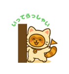 にゃんたぬ 癒しのふわもこ着ぐるみ便（個別スタンプ：7）