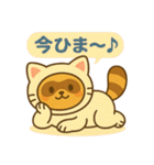 にゃんたぬ 癒しのふわもこ着ぐるみ便（個別スタンプ：8）