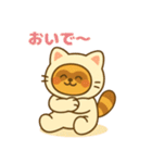 にゃんたぬ 癒しのふわもこ着ぐるみ便（個別スタンプ：9）
