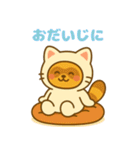 にゃんたぬ 癒しのふわもこ着ぐるみ便（個別スタンプ：10）