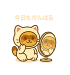 にゃんたぬ 癒しのふわもこ着ぐるみ便（個別スタンプ：15）