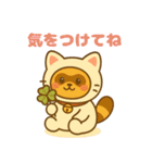 にゃんたぬ 癒しのふわもこ着ぐるみ便（個別スタンプ：16）