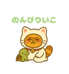 にゃんたぬ 癒しのふわもこ着ぐるみ便（個別スタンプ：19）