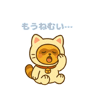 にゃんたぬ 癒しのふわもこ着ぐるみ便（個別スタンプ：24）
