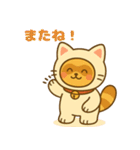 にゃんたぬ 癒しのふわもこ着ぐるみ便（個別スタンプ：25）