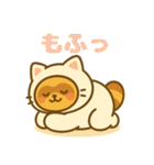 にゃんたぬ 癒しのふわもこ着ぐるみ便（個別スタンプ：28）