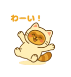 にゃんたぬ 癒しのふわもこ着ぐるみ便（個別スタンプ：31）