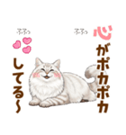 ふわもこサイベリアンの気持ちスタンプ（個別スタンプ：1）