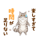 ふわもこサイベリアンの気持ちスタンプ（個別スタンプ：3）