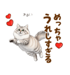ふわもこサイベリアンの気持ちスタンプ（個別スタンプ：4）