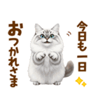 ふわもこサイベリアンの気持ちスタンプ（個別スタンプ：5）