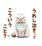ふわもこサイベリアンの気持ちスタンプ（個別スタンプ：7）