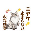 ふわもこサイベリアンの気持ちスタンプ（個別スタンプ：10）