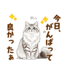 ふわもこサイベリアンの気持ちスタンプ（個別スタンプ：12）