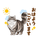 ふわもこサイベリアンの気持ちスタンプ（個別スタンプ：17）