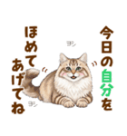 ふわもこサイベリアンの気持ちスタンプ（個別スタンプ：18）