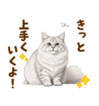 ふわもこサイベリアンの気持ちスタンプ（個別スタンプ：19）