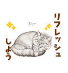 ふわもこサイベリアンの気持ちスタンプ（個別スタンプ：20）