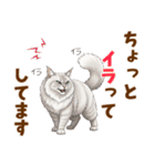 ふわもこサイベリアンの気持ちスタンプ（個別スタンプ：22）
