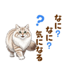 ふわもこサイベリアンの気持ちスタンプ（個別スタンプ：23）