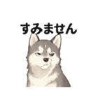 ハスキー犬☆日常会話☆毎日使いたい☆（個別スタンプ：4）