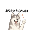 ハスキー犬☆日常会話☆毎日使いたい☆（個別スタンプ：6）