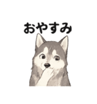 ハスキー犬☆日常会話☆毎日使いたい☆（個別スタンプ：7）