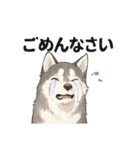 ハスキー犬☆日常会話☆毎日使いたい☆（個別スタンプ：9）