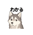 ハスキー犬☆日常会話☆毎日使いたい☆（個別スタンプ：14）