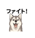 ハスキー犬☆日常会話☆毎日使いたい☆（個別スタンプ：15）