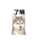 ハスキー犬☆日常会話☆毎日使いたい☆（個別スタンプ：17）