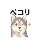 ハスキー犬☆日常会話☆毎日使いたい☆（個別スタンプ：21）
