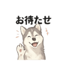 ハスキー犬☆日常会話☆毎日使いたい☆（個別スタンプ：22）