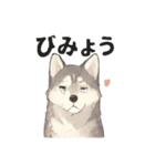ハスキー犬☆日常会話☆毎日使いたい☆（個別スタンプ：23）