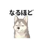 ハスキー犬☆日常会話☆毎日使いたい☆（個別スタンプ：25）