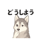 ハスキー犬☆日常会話☆毎日使いたい☆（個別スタンプ：27）