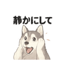 ハスキー犬☆日常会話☆毎日使いたい☆（個別スタンプ：28）