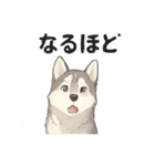 ハスキー犬☆日常会話☆毎日使いたい☆（個別スタンプ：29）