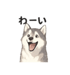 ハスキー犬☆日常会話☆毎日使いたい☆（個別スタンプ：31）