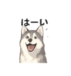 ハスキー犬☆日常会話☆毎日使いたい☆（個別スタンプ：32）