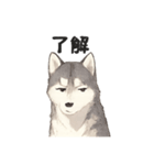 ハスキー犬☆日常会話☆毎日使いたい☆（個別スタンプ：33）