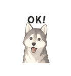 ハスキー犬☆日常会話☆毎日使いたい☆（個別スタンプ：36）