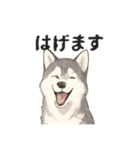 ハスキー犬☆日常会話☆毎日使いたい☆（個別スタンプ：37）