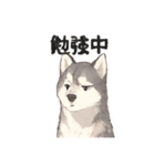 ハスキー犬☆日常会話☆毎日使いたい☆（個別スタンプ：40）